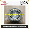 Railway traction motor bearing NU214ECM