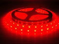 High Brightness 5050 RGB Waterproof  China Led Strip Manufacturer 3