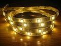 china led strip supplier 5050 waterproof ul listed led strip 2
