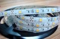 china led strip supplier 5050 waterproof ul listed led strip 3