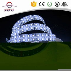 UL CE RoHS Certified SMD 5050 Led Flexible Strip Light 60 led/m DC12V 24V