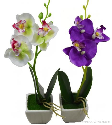wholesale artificial orchid thailand bonsai plant sale(SF-11-182) 3