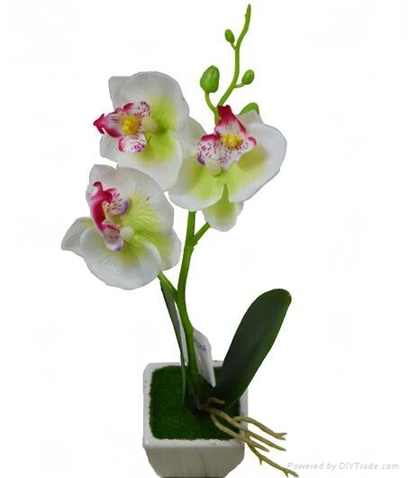 wholesale artificial orchid thailand bonsai plant sale(SF-11-182) 2