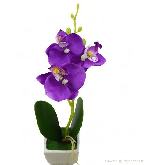 wholesale artificial orchid thailand bonsai plant sale(SF-11-182)