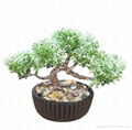 mini bonsai artificial plants for wholesale indoor decoration 2