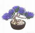 mini bonsai artificial plants for wholesale indoor decoration 3