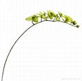 long single stem silk flower,butterfly orchid flower 2