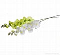 long single stem silk flower,butterfly orchid flower 1