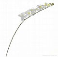 long single stem silk flower,butterfly orchid flower 3