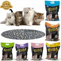 long term supply cat litter bentonite