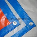  blue and white color pe tarpaulin with different sizes 3