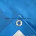  blue and white color pe tarpaulin with different sizes 5