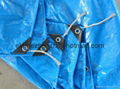 waterproof pe tarpaulin cover 3