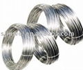 Stainless Steel Wire