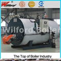 WNS Horizontal Steam Boiler For Sterilization 2