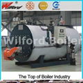 WNS Horizontal Steam Boiler For Sterilization 3