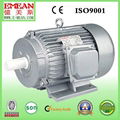 Y Series Three-Phase AC Electric Motor 1