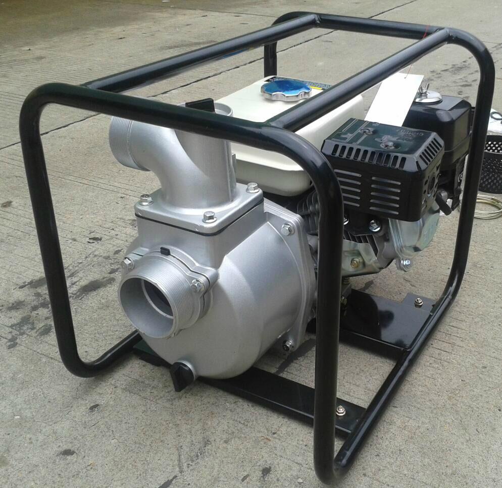 2inch Gasoline Water Pump Pumping WP20 EWP20 EMEAN (China