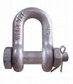 Small d shackle 