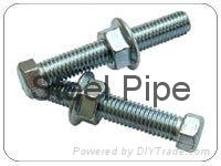 Stainless Steel Fasteners