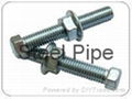 Stainless Steel Fasteners