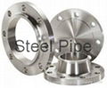 Steel Flanges 1