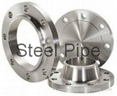 Steel Flanges