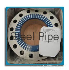 Steel Flanges 4