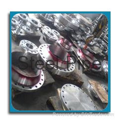 Steel Flanges 5