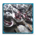 Steel Flanges 5