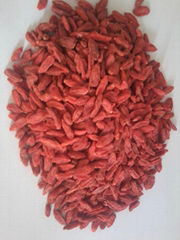 Selling 2018 Low Pesticide  Goji Berries 