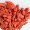 Dried Goji Berries 1