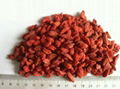 Organic Dried Goji Berry  1