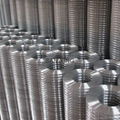 Galvanized wire mesh