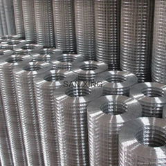 Galvanized wire mesh