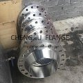 EN1092-1 PN16 ASTM A182 stainless steel WN flange 4