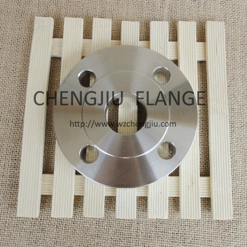 BS10 T/D plate ff stainless steel forged flange 4