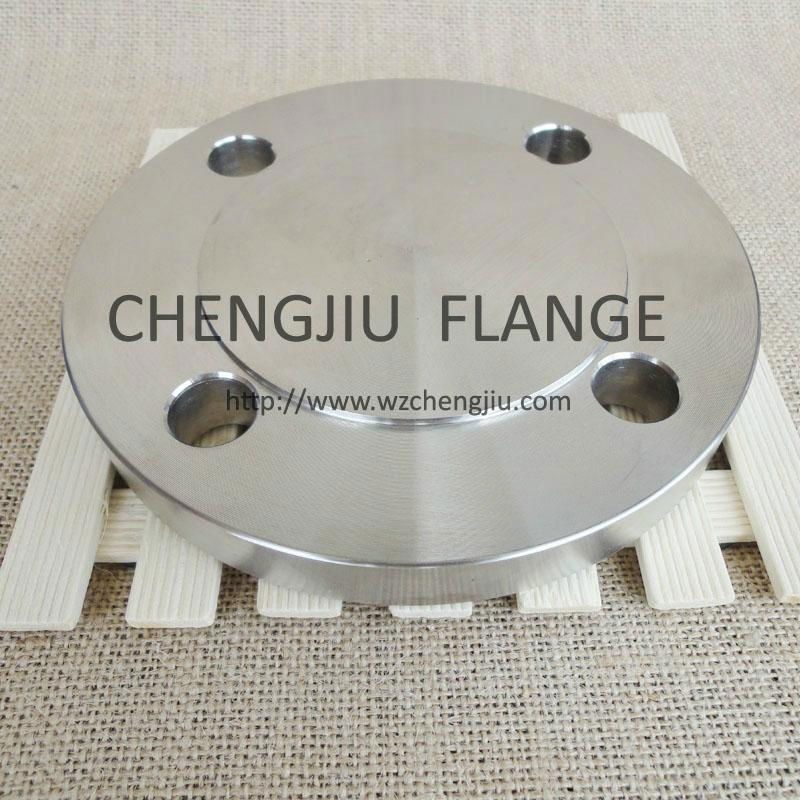 316 stainless steel JIS Blind Flange 3