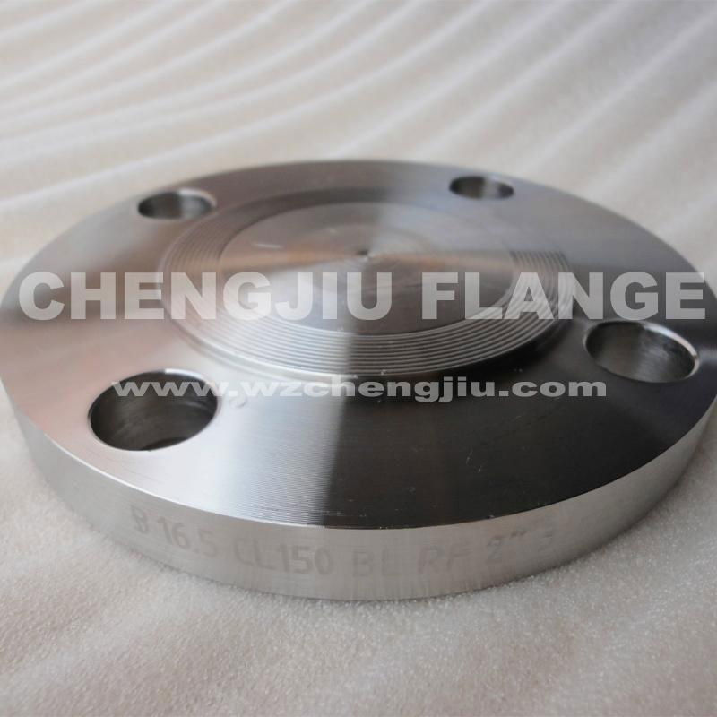 316 stainless steel JIS Blind Flange 4