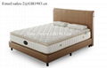 Super Soft Continuous Spring With Latex Mattress In Full Size