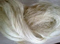 SISAL FIBRE