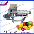 commerical fruit juicer 1