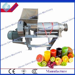 commerical fruit juicer