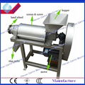 commerical fruit juicer 2