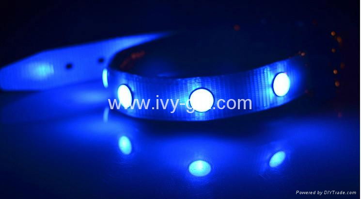 rechargeable pet collar flashing Led Dog Collar 2