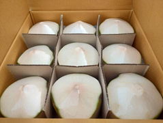 Fresh Young Coconut