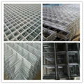 welded  wire mesh panel 3