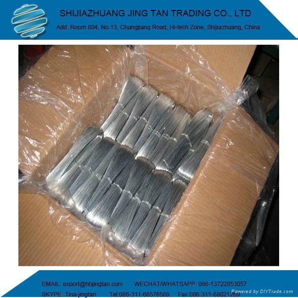 Electro Galvanized Iron Wire 4