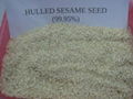 Sesame Seeds