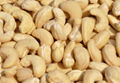 Cashew Nuts 2